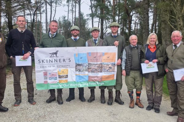 westerdale3 westerdale3